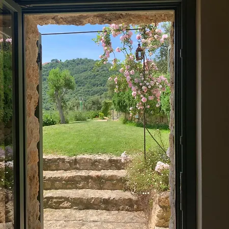 Camamila Sea View Charming Holiday home *