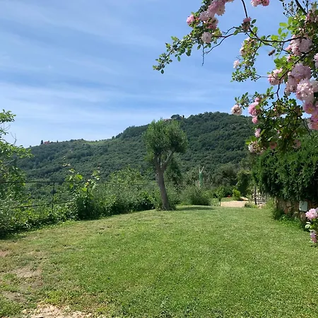 Camamila Sea View Charming Holiday home *