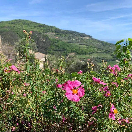 Holiday home Camamila Sea View Charming