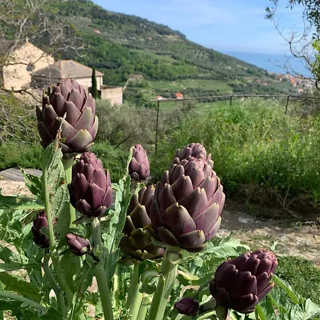 Camamila Sea View Charming Holiday home *