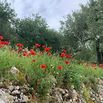 Camamila Sea View Charming Feriehus Finale Ligure
