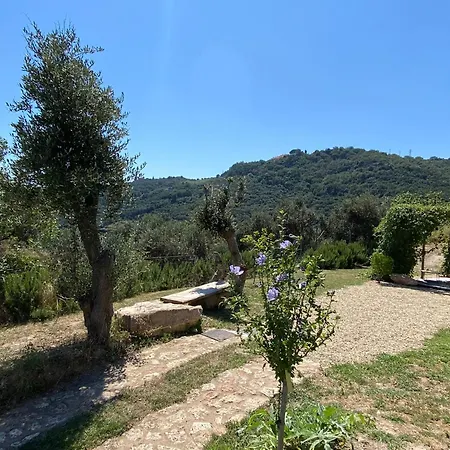 Camamila Sea View Panoramic Holiday home