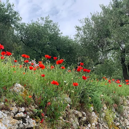 Càmamila Sea View Bedroom Casa de Férias Finale Ligure