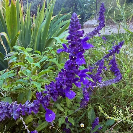 Casa de Férias Càmamila Sea View Bedroom *