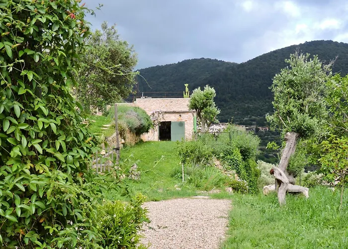 Camamila Sea View Charming *