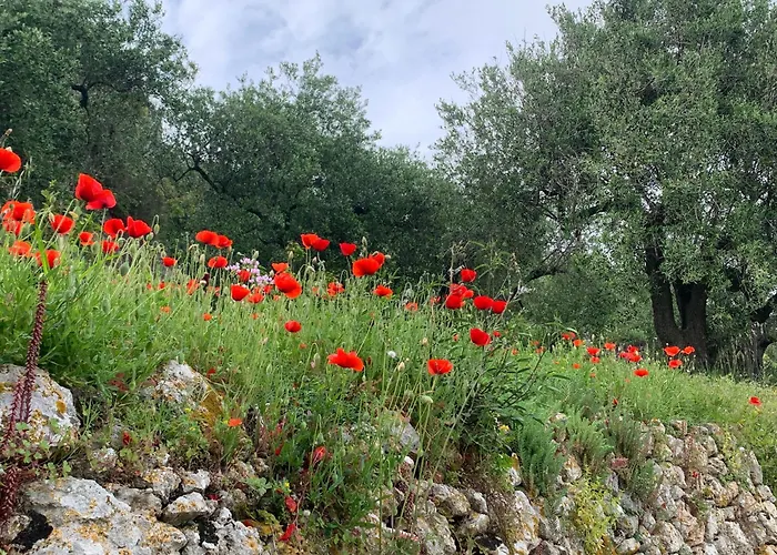 Camamila Sea View Charming בית נופש פינאלה ליגורה