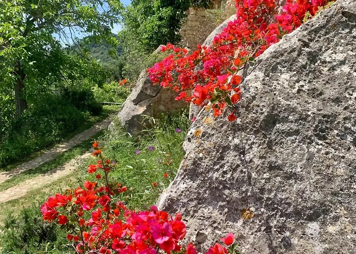 בית נופש Camamila Sea View Charming פינאלה ליגורה