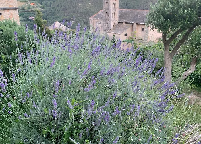 Camamila Sea View Charming *