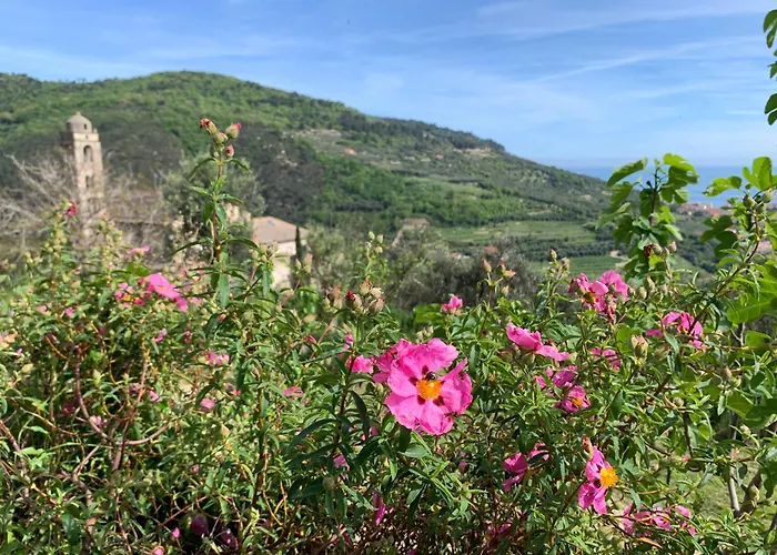 בית נופש Camamila Sea View Charming