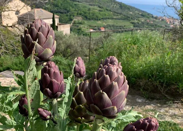 Camamila Sea View Charming Vakantiehuis *