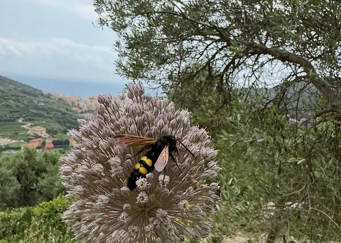Vakantiehuis Camamila Sea View Charming Finale Ligure